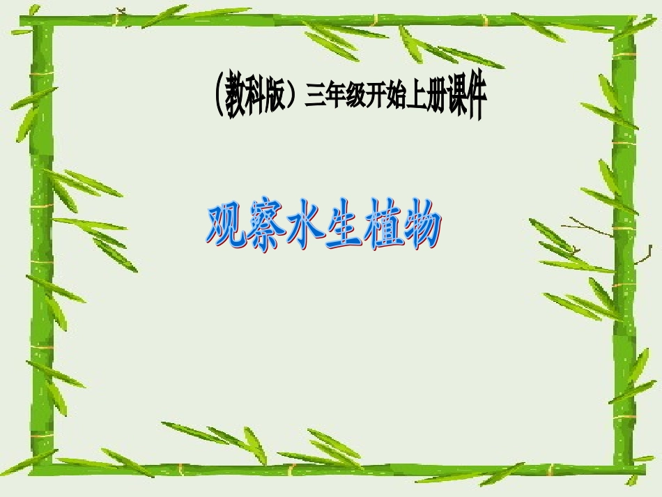 三年级科学观察水生植物_第1页