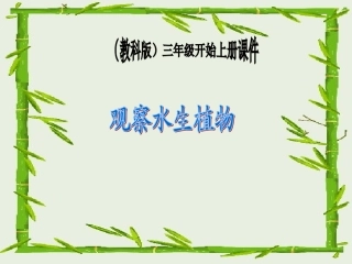 三年级科学观察水生植物