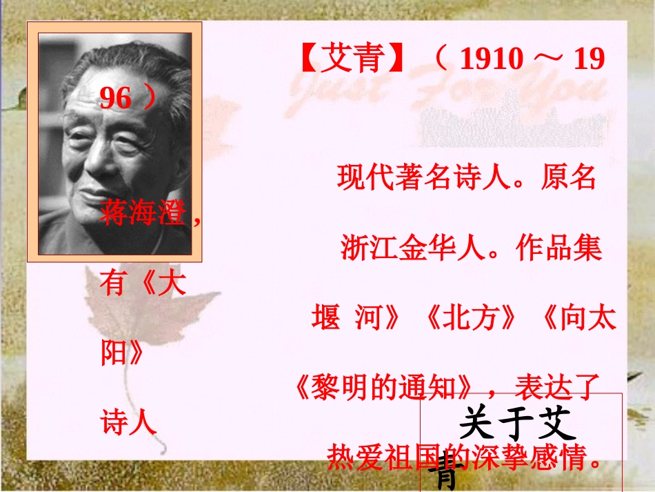 我爱这土地PPT_第2页