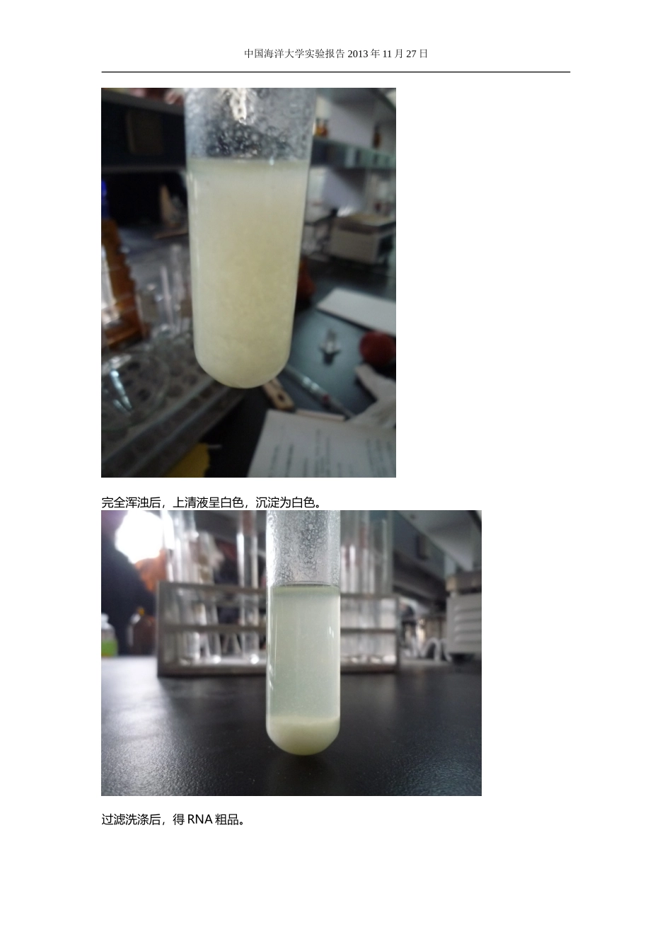 实验七酵母RNA的提取及鉴定_第3页