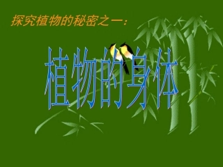 青岛版四年级科学上册植物的身体课件