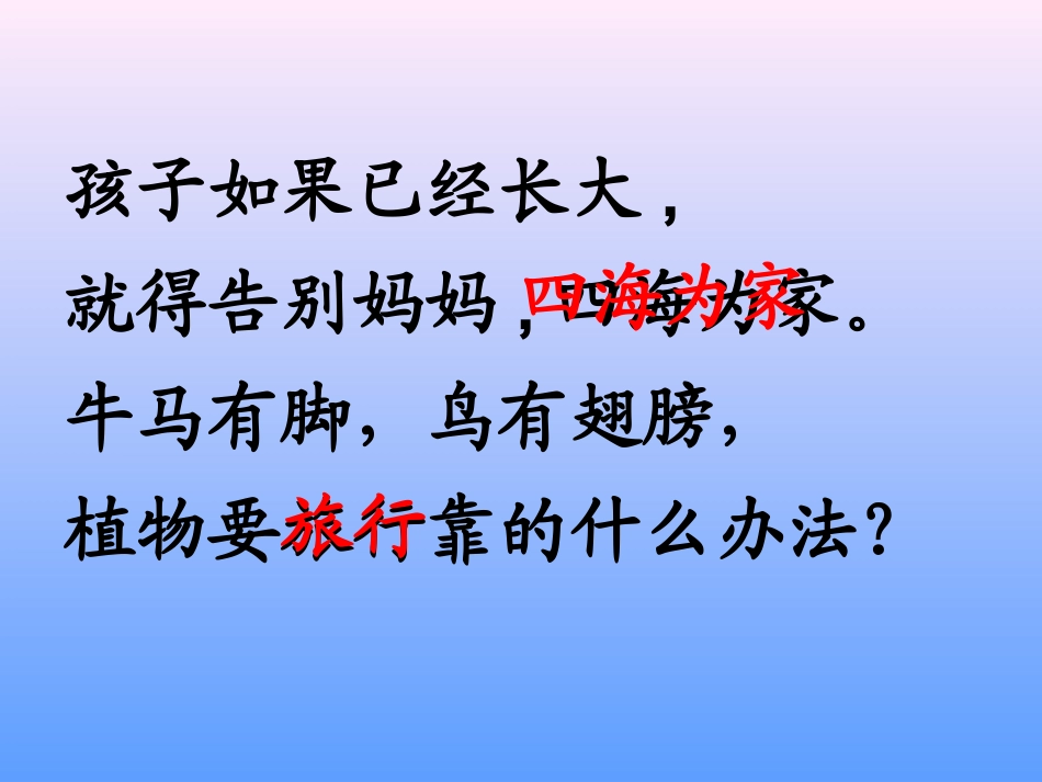 植物妈妈有办法(第二课时)_第3页