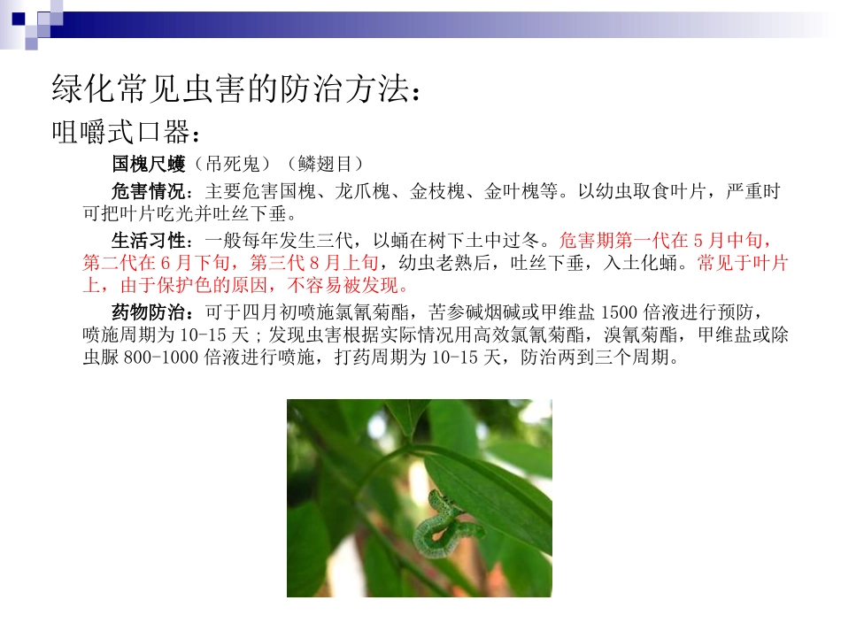 绿化病虫害的防治_第3页