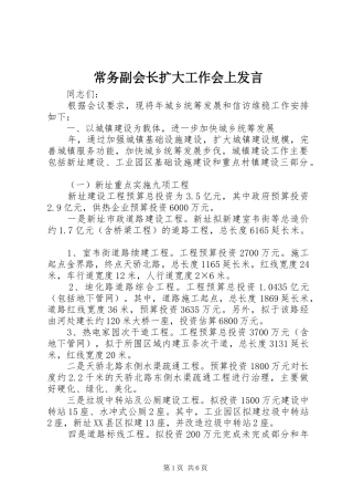 常务副会长扩大工作会上发言