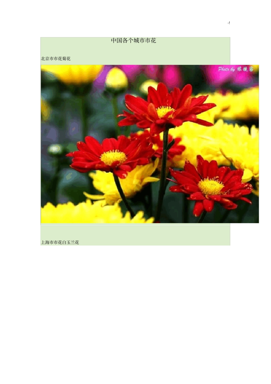 中国各个城花_第1页