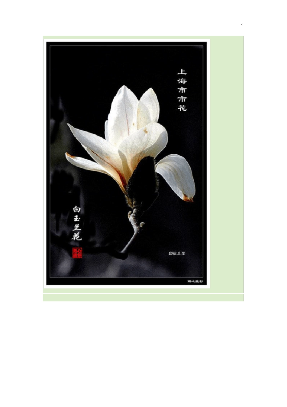中国各个城花_第2页