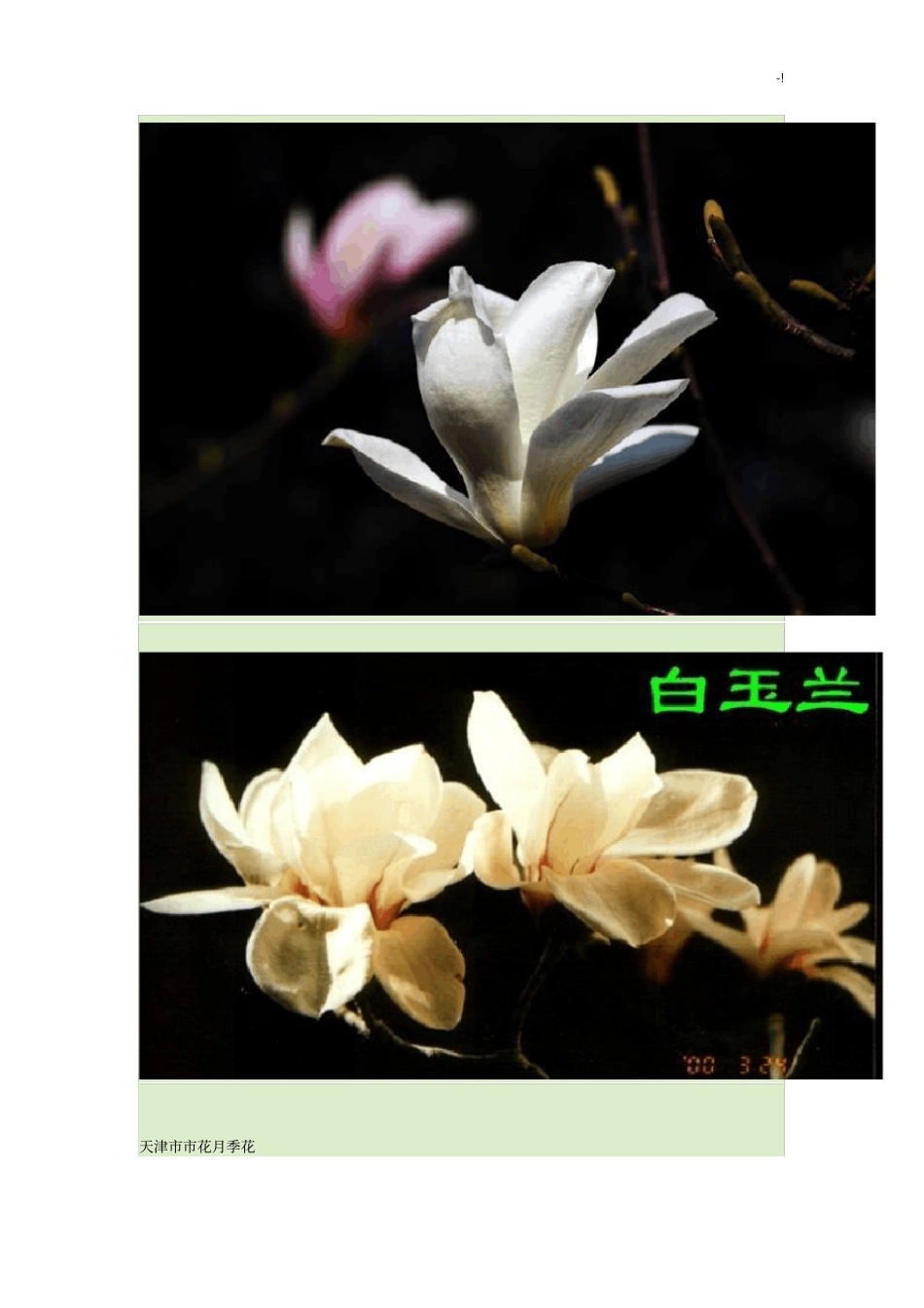 中国各个城花_第3页