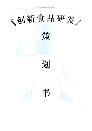创新食品策划书——kite组