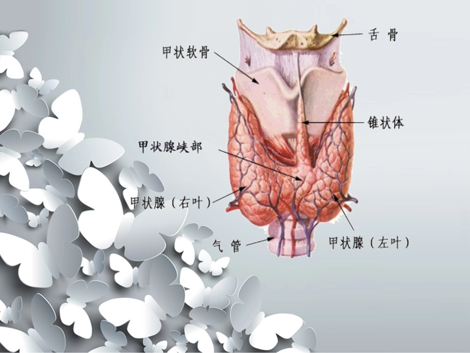 腔镜下甲状腺切除术_第3页