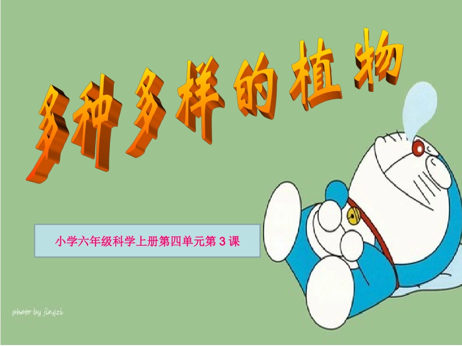 教科版科学六年级上册《多种多样的植物》PPT_第1页