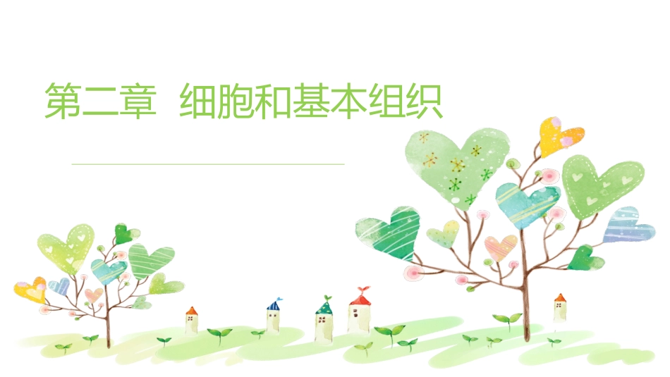 解剖学 细胞_第2页