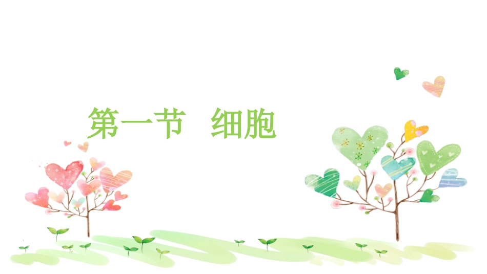 解剖学 细胞_第3页