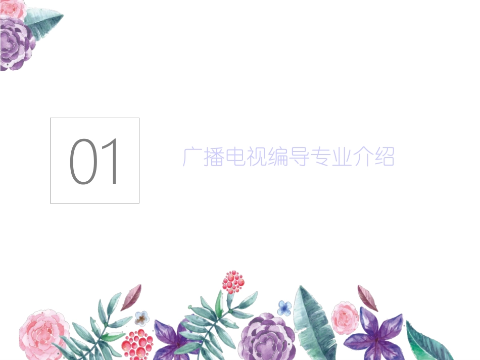 广播电视编导专业课(编导创意、文艺基础知识等)_第2页