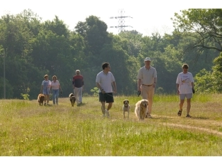 景观规划建筑英语3