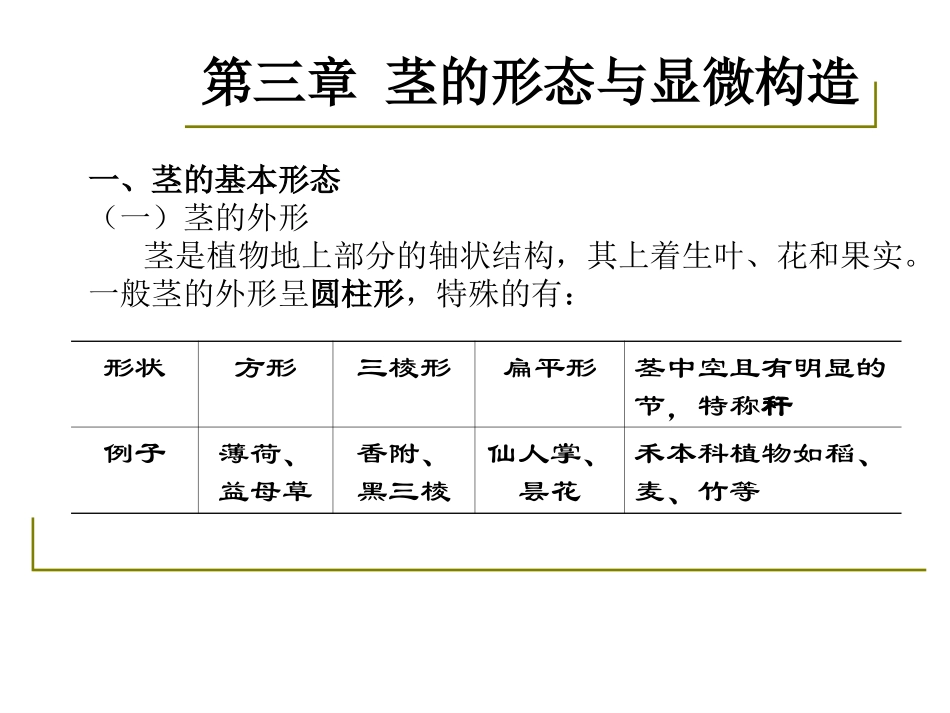 药用植物学-淅江大学03茎的形态与显微构造_第3页
