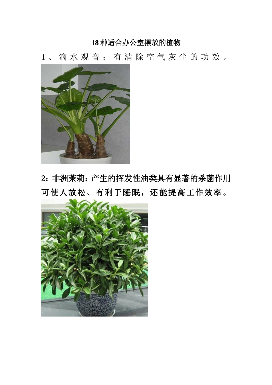 18种适合办公室摆放的植物_第1页