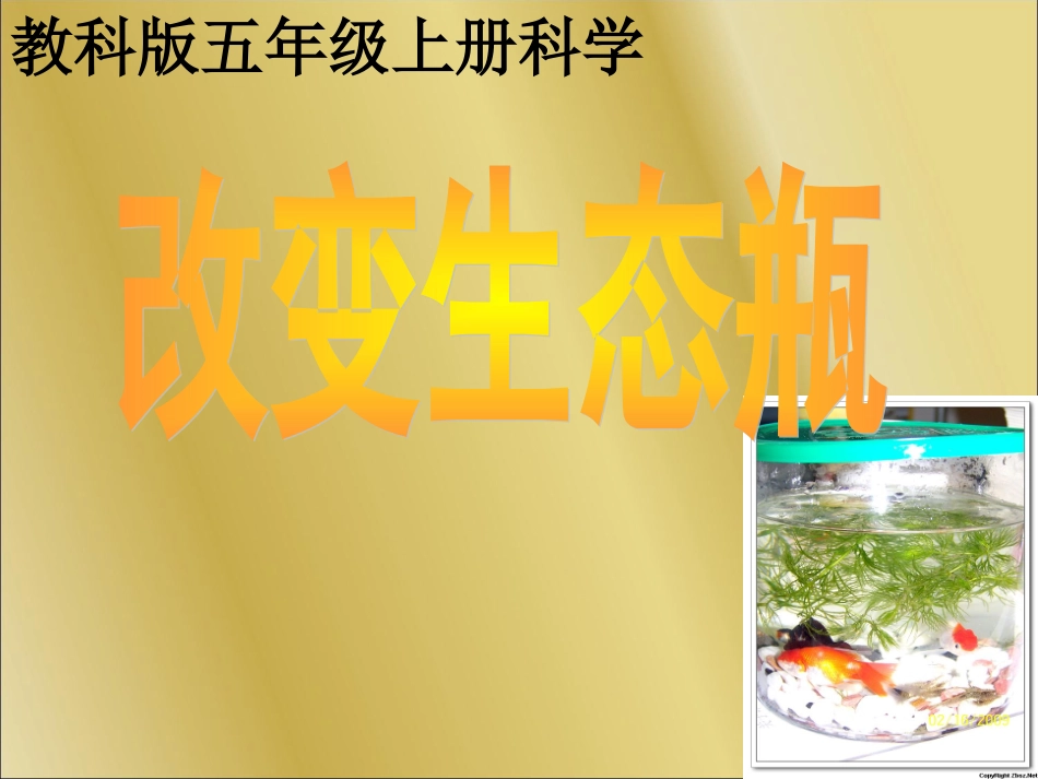 教科版_科学_五年级_上册_7改变生态瓶_第1页