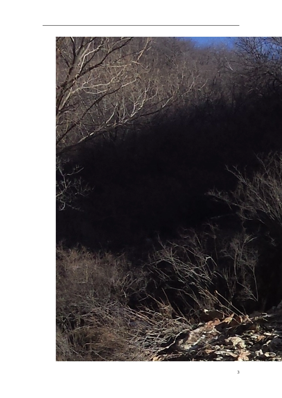 SNS主动防护网施工方案_第3页