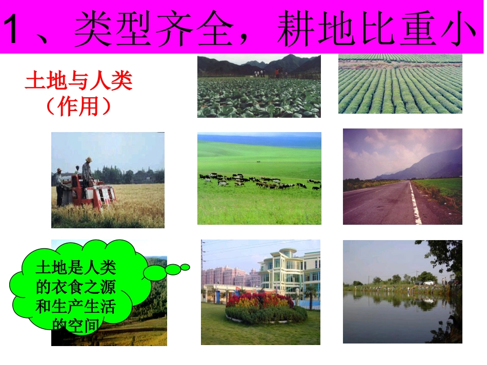 新人教版八年级上册地理-土地资源--课件_第2页