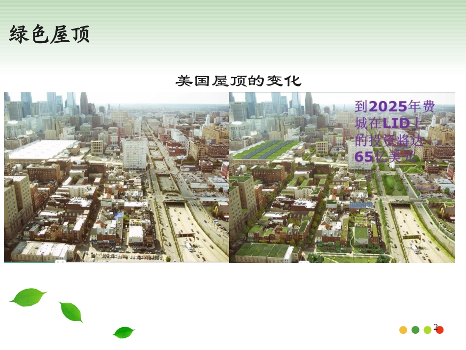 城市面源污染控制技术—绿色屋顶_第2页
