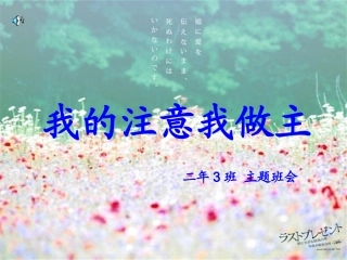 我的注意我做主