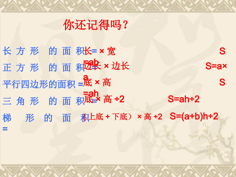 不规则图形面积的计算_第2页