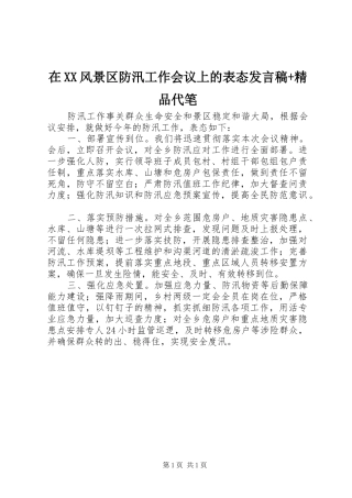 在XX风景区防汛工作会议上的表态发言稿+精品代笔