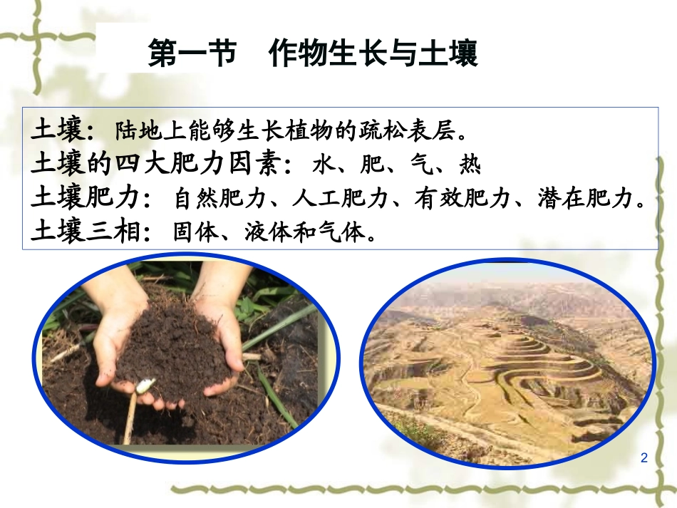 4第四章  作物生产与环境条件_第2页
