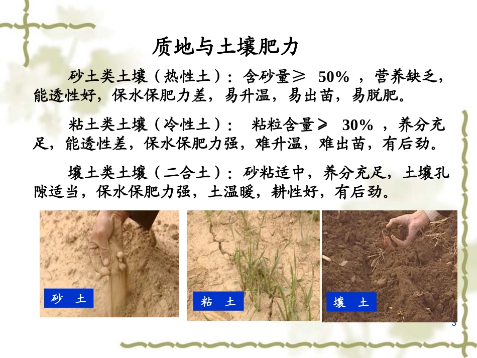 4第四章  作物生产与环境条件_第3页