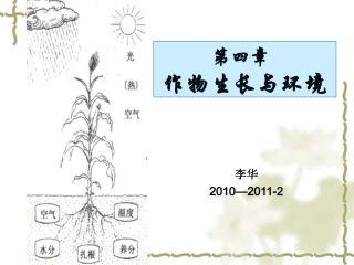 4第四章  作物生产与环境条件