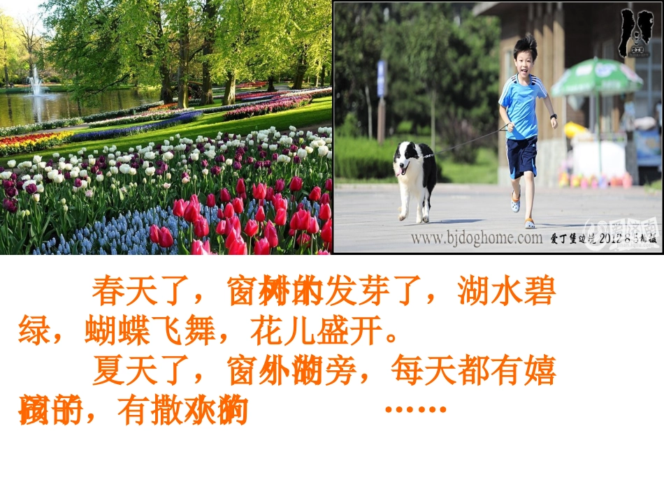 病房里的故事ppt_第2页