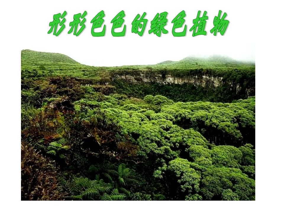 冀教版七年级生物第三节藻类植物_第1页
