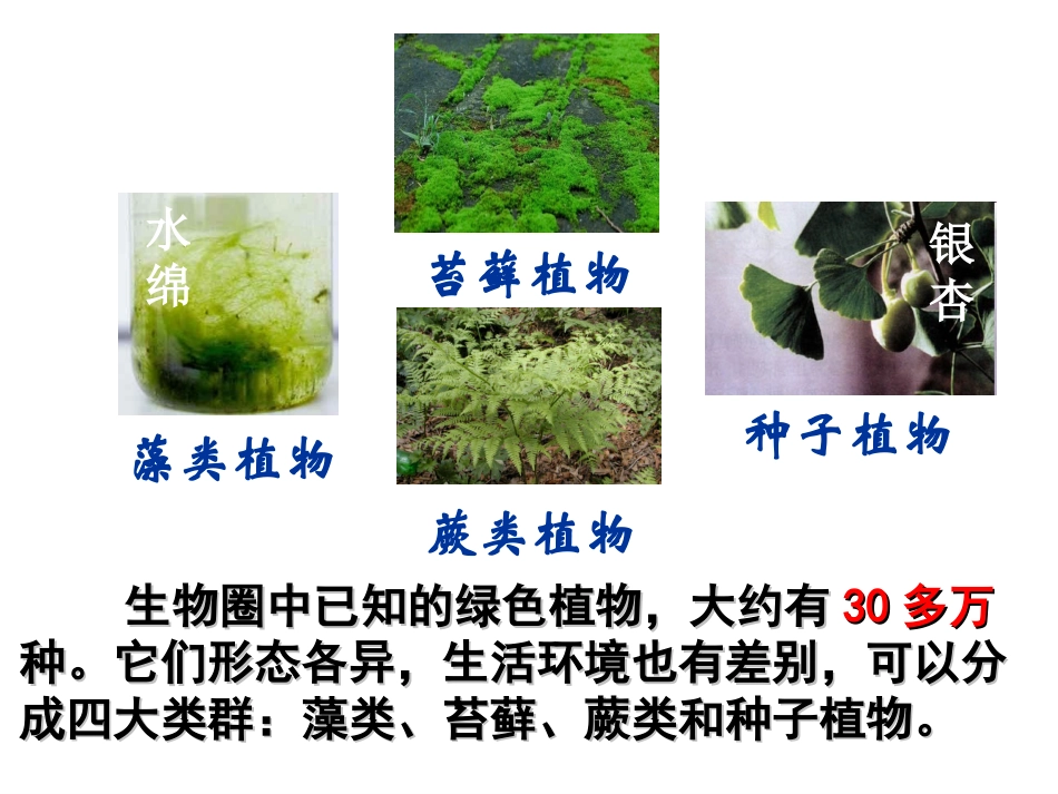 冀教版七年级生物第三节藻类植物_第2页