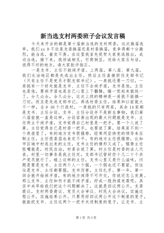 新当选支村两委班子会议发言稿
