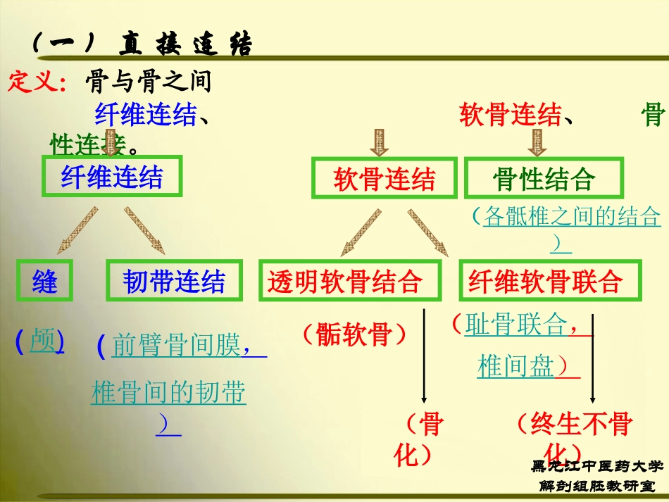 正常人体解剖学 第二节 关节学1_第2页