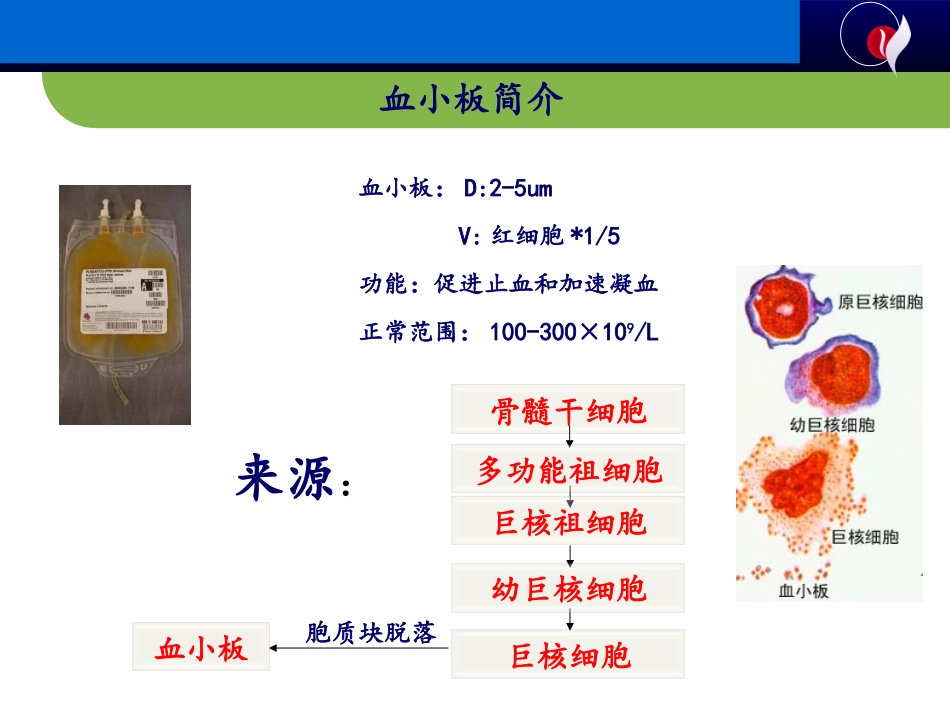 血小板抗原抗体检测及其输血科应用_第3页
