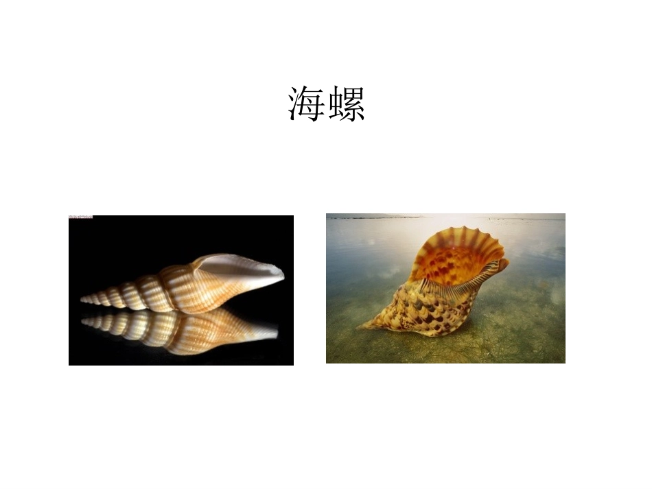 部编人教版一年上语文 11项链_第3页