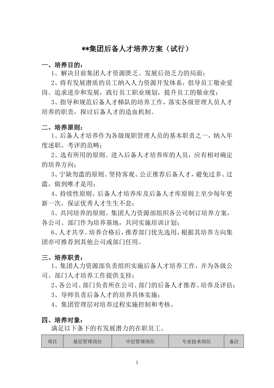 集团后备人才培养方案 (1)_第1页