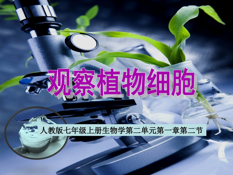 观察植物细胞说课课件_第1页