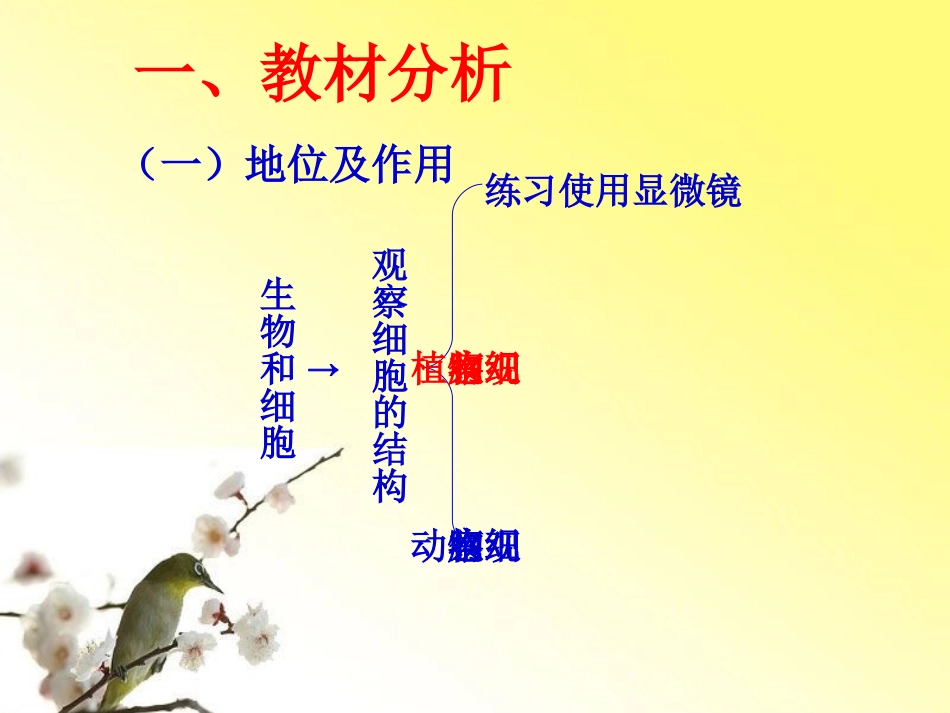 观察植物细胞说课课件_第3页