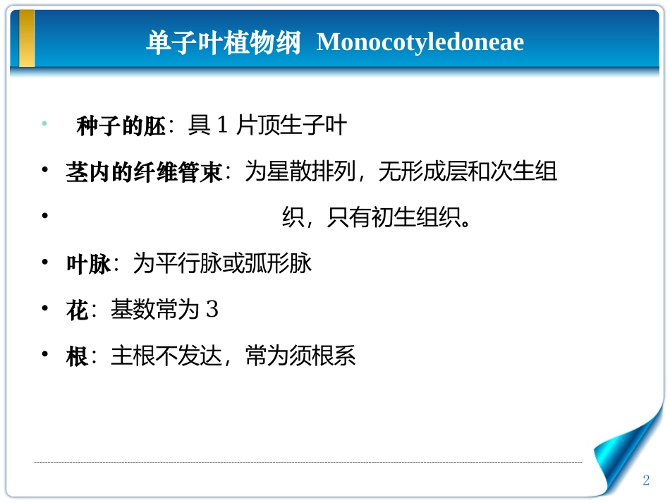 单双子叶植物的区别_第2页