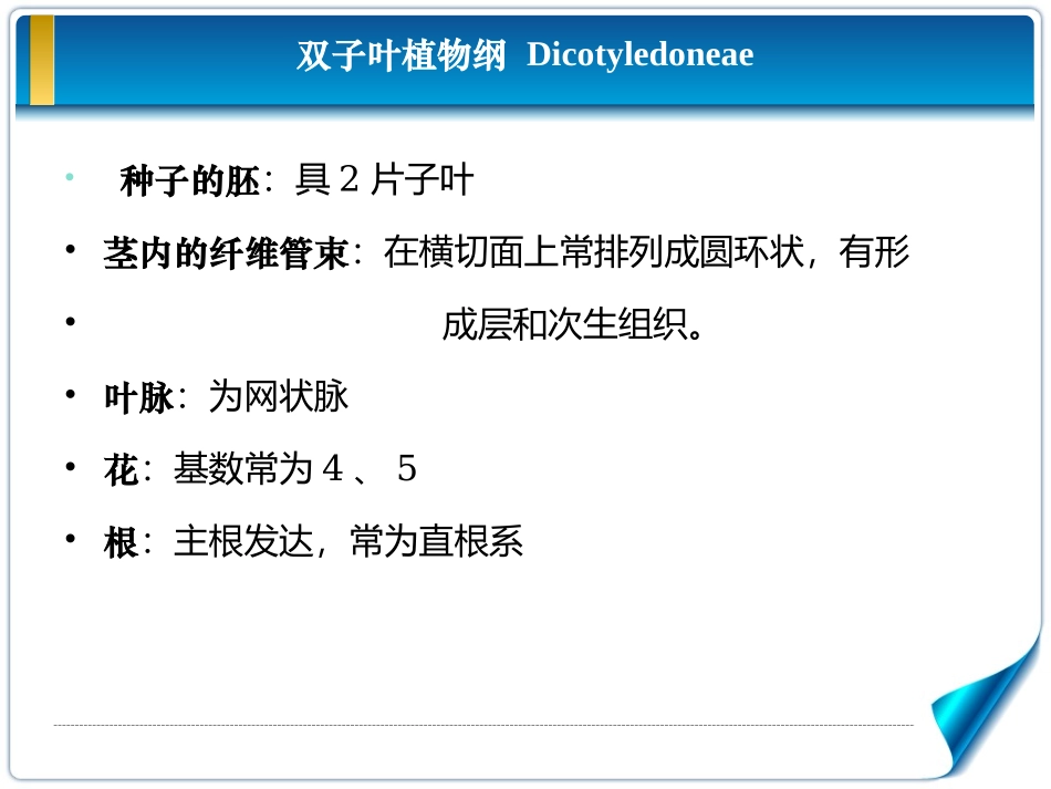 单双子叶植物的区别_第3页