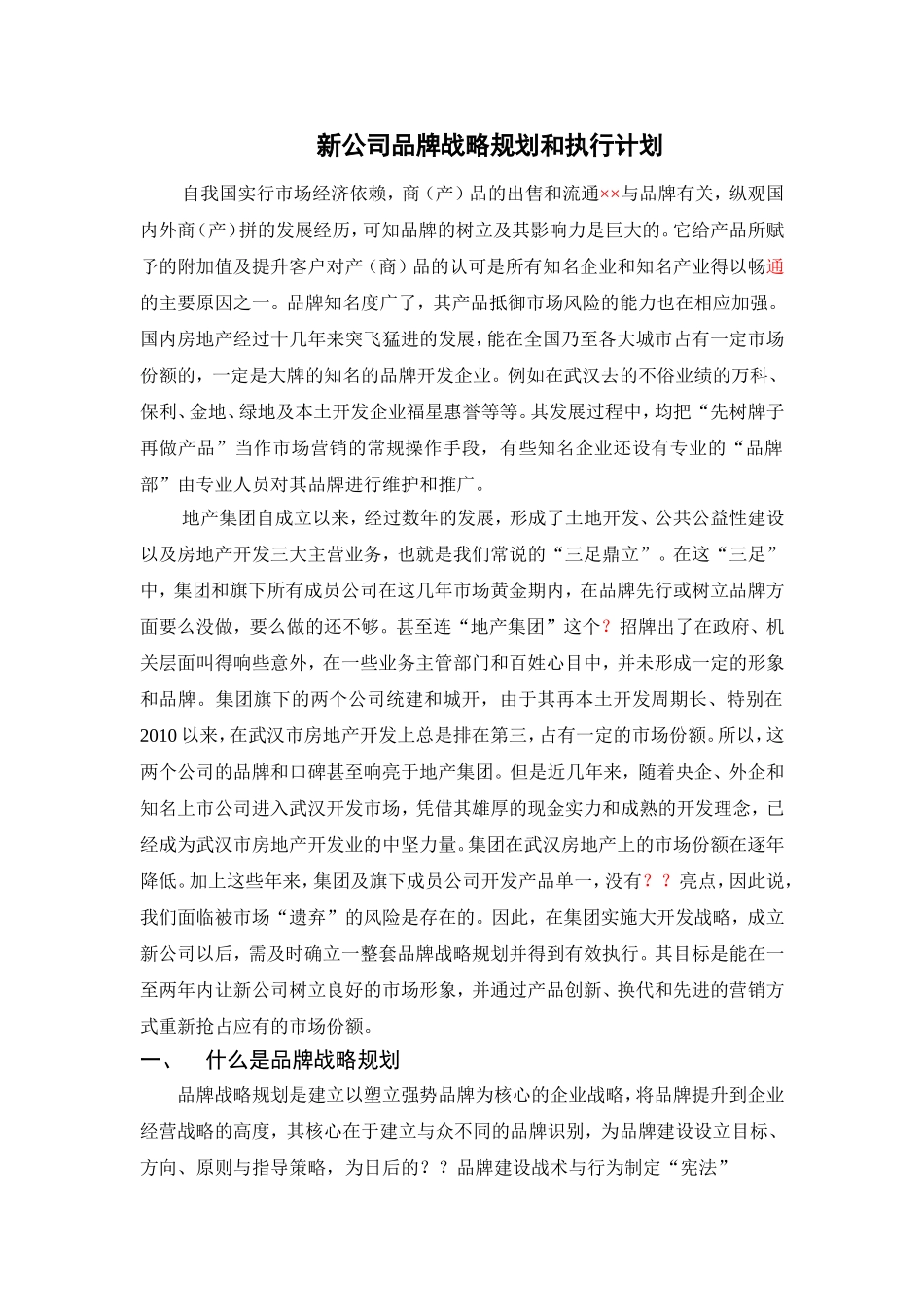 新公司品牌战略规划和执行计划_第1页