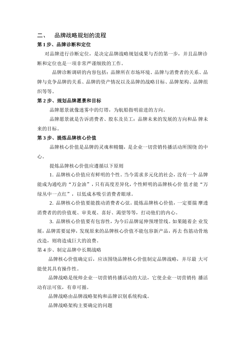 新公司品牌战略规划和执行计划_第2页