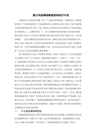 新公司品牌战略规划和执行计划