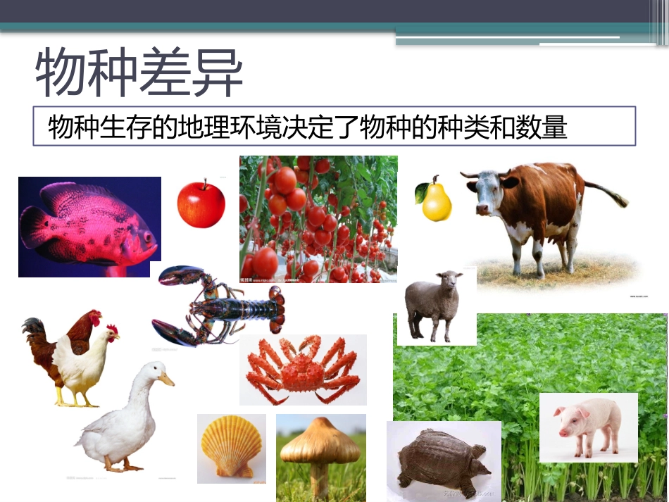 地理环境与饮食习惯_第3页