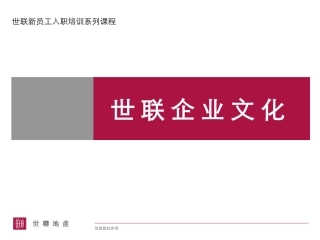 世联企业文化