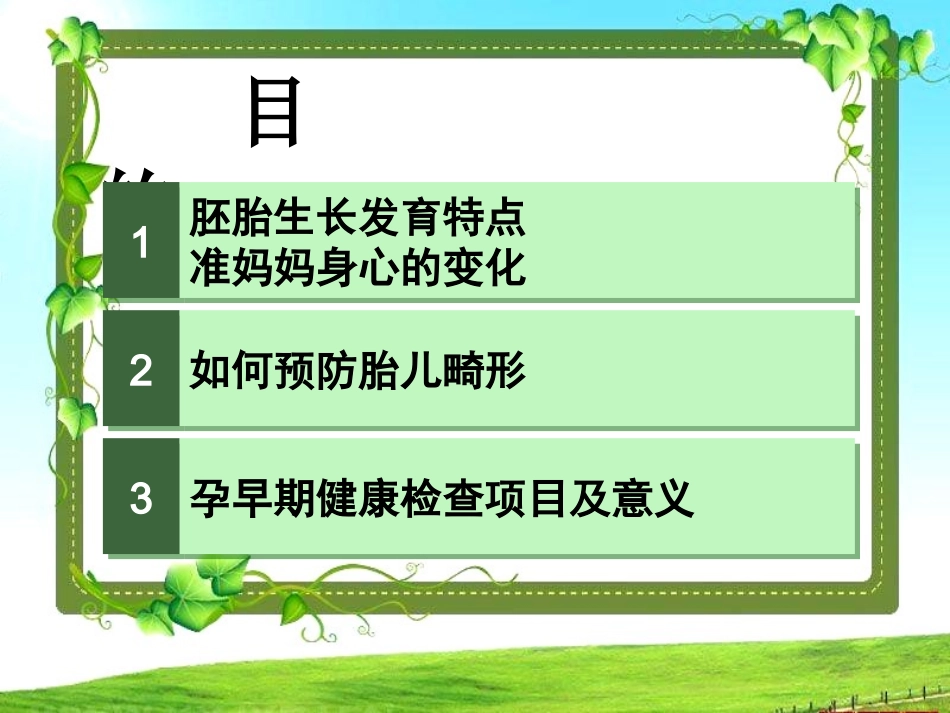 孕早期健康宣教 (刘金艳)PowerPoint 演示文稿(1)_第3页