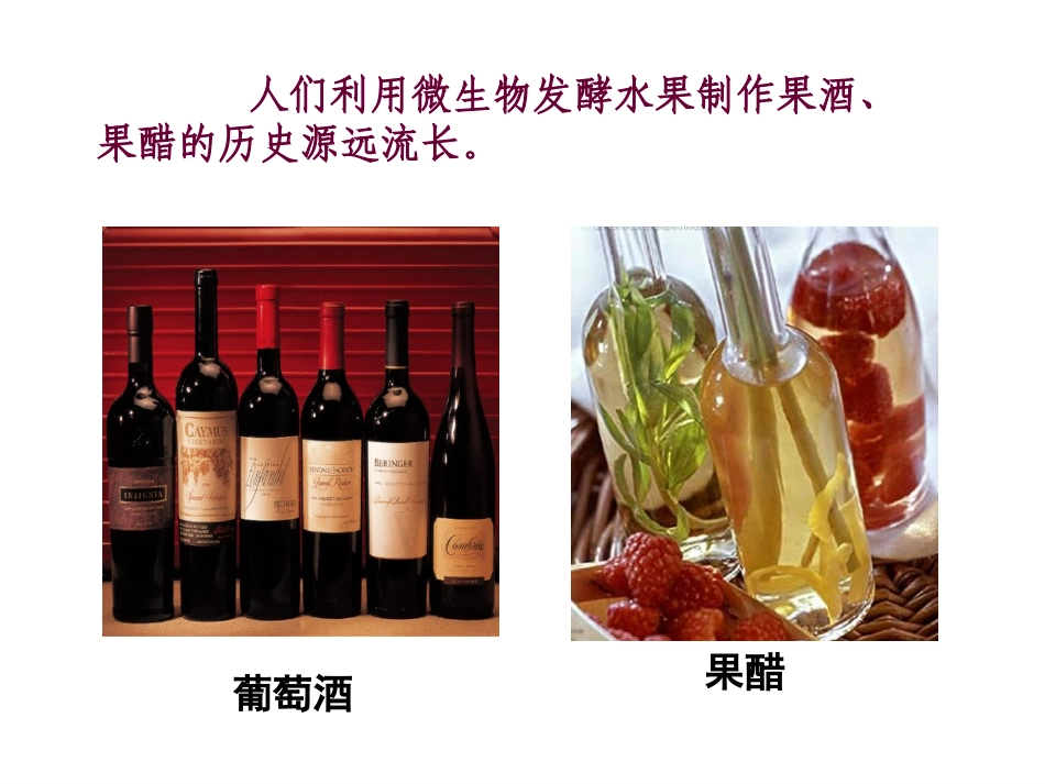 人教版 选修一 果酒和果醋的制作 课件_第2页
