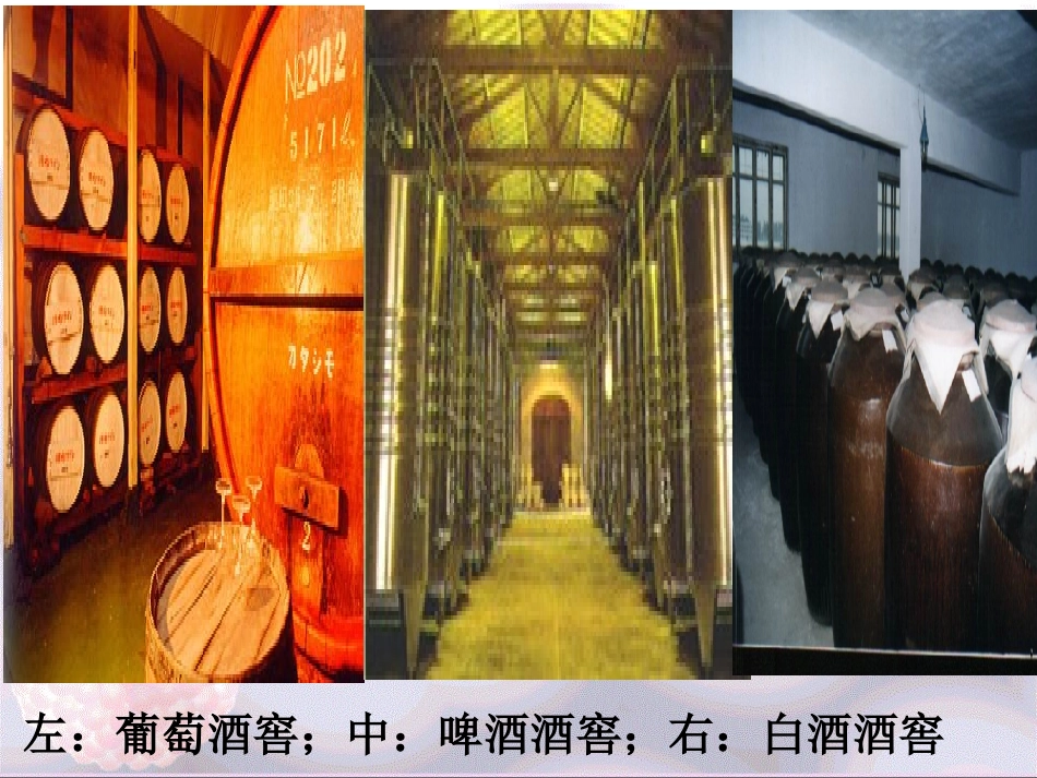 人教版 选修一 果酒和果醋的制作 课件_第3页